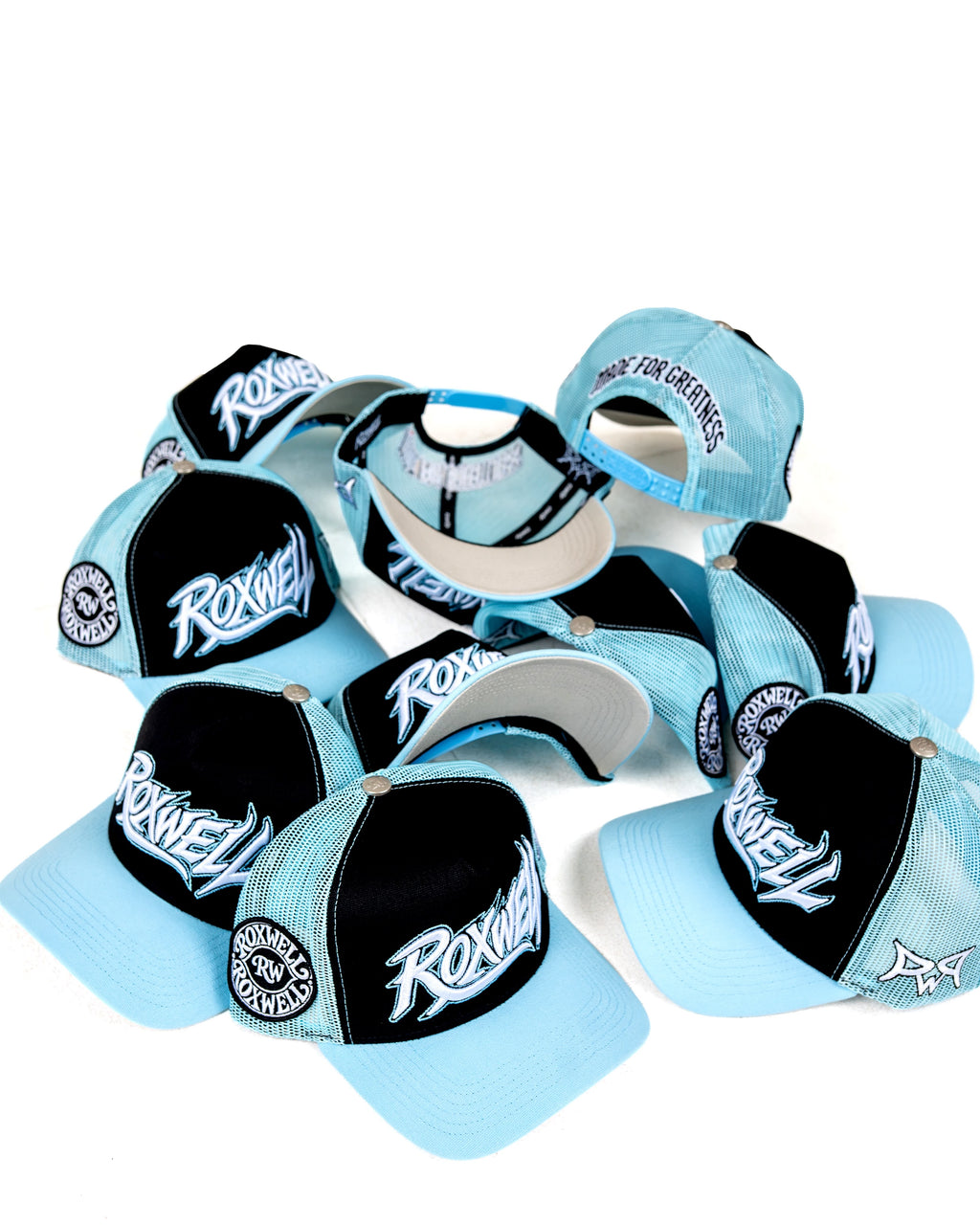 GORRA ROXWELL TRUCKER