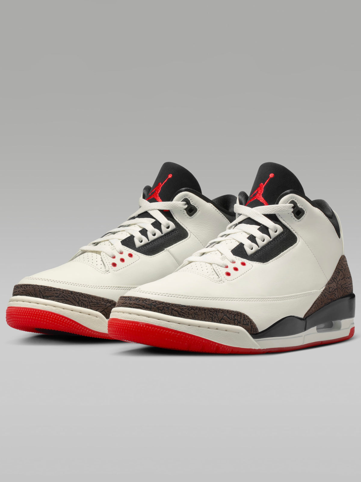 JORDAN 3 World's Best